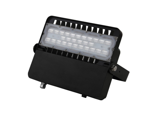 Waterproof Aluminum 100W SMD 3030 LED FLood Light Housing for Manufacturer