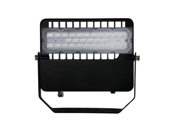Waterproof Aluminum 100W SMD 3030 LED FLood Light Housing for Manufacturer