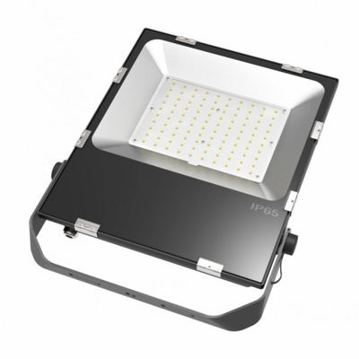 पनरोक 50 w 270v आउटडोर ग्राउंड फ्लड लाइट फिक्स्चर 100-110 एलएम / डब्ल्यू